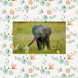 Meet your Posher, Bridget